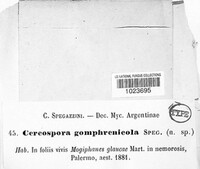Image Associated With the Occurence